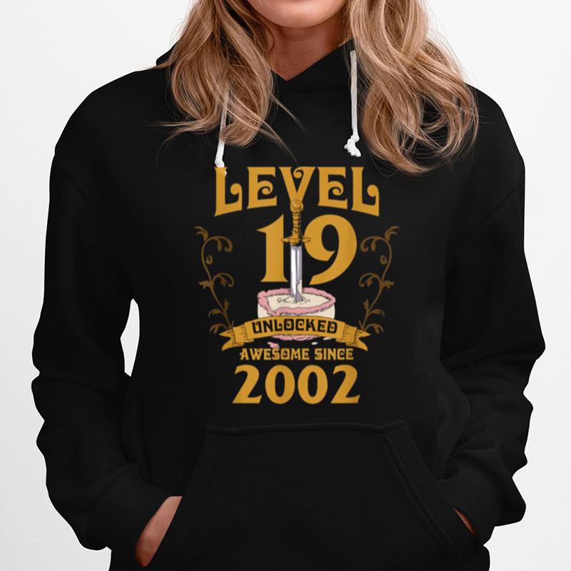 Level 19 Unlocked Gamer Age 19 2002 Birthday Age 19 Bday Hoodie