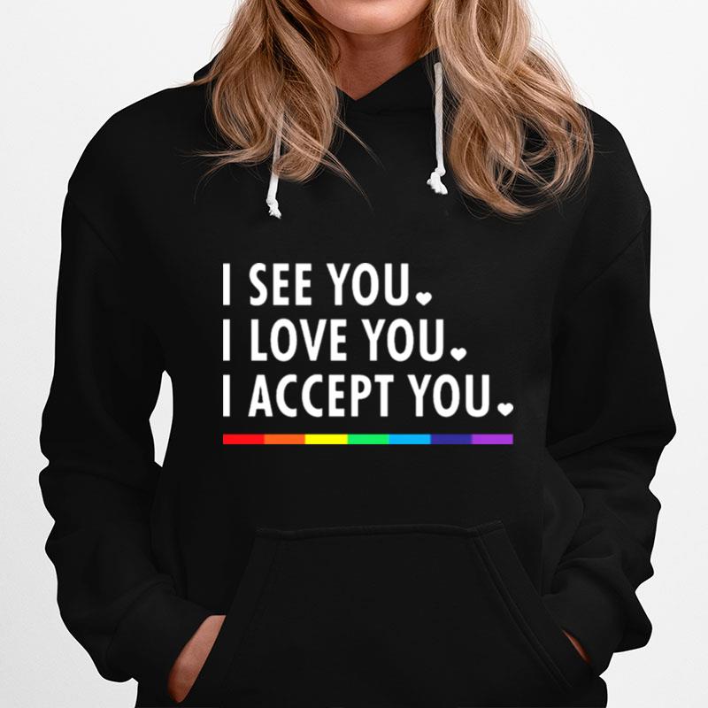 Lgbt See You I Love You I Accept You Hoodie