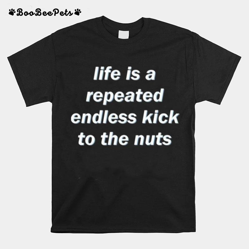 Life Is A Repeated Endless Kick To The Nuts T-Shirt