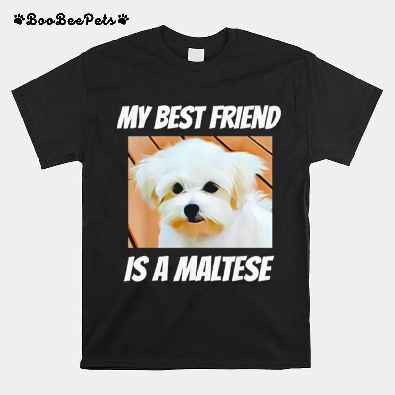 My Best Friend Is A Maltese T-Shirt