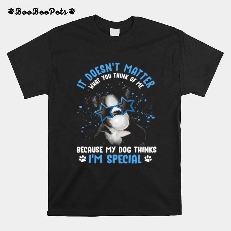 My Boston Terrier It Doesnt Matter What You Think Of Me Because My Dog Thinks Im Special T-Shirt