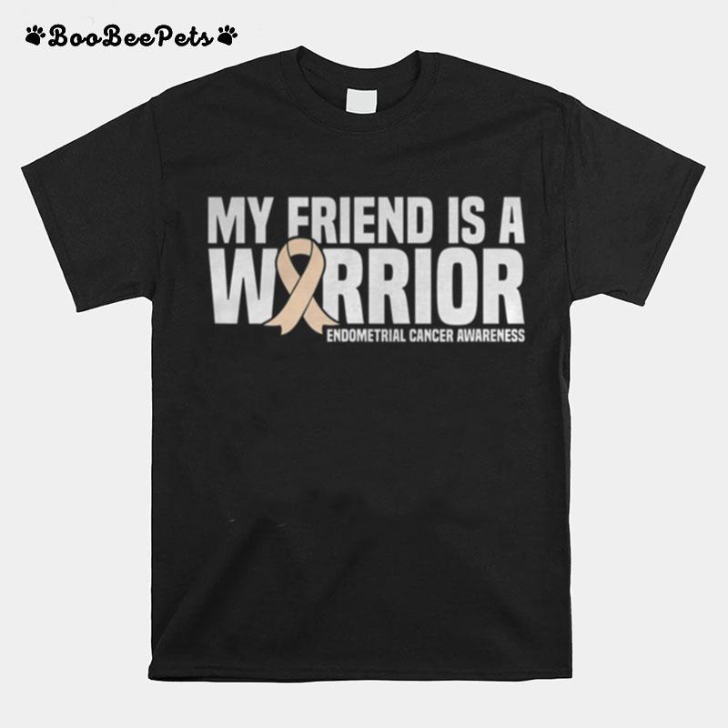 My Friend Is A Warrior Endometrial Cancer Awareness T-Shirt