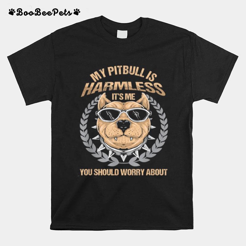 My Pitbull Is Harmless Its Me You Should Worry About T-Shirt