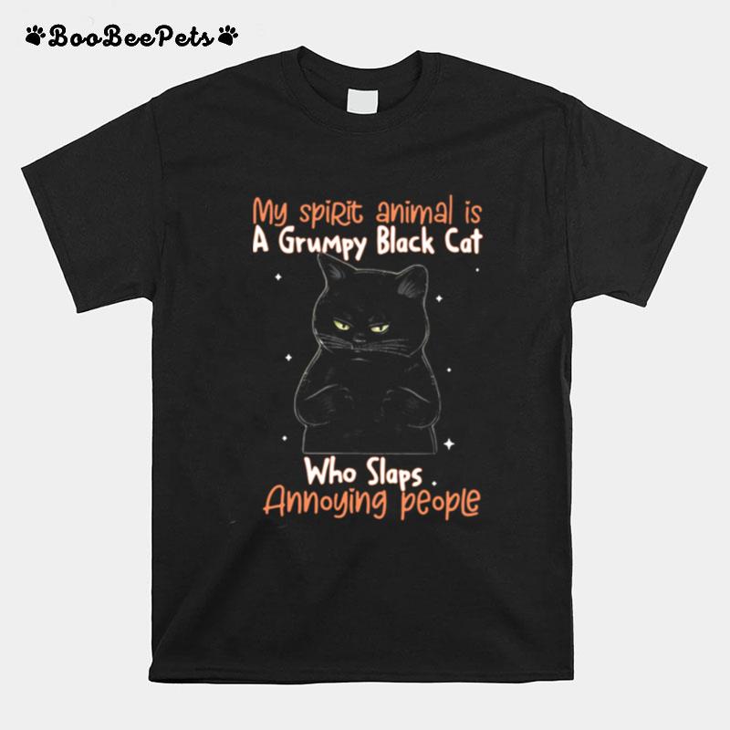 My Spirit Animal Is A Grumpy Black Cat Who Slaps Annoying People T-Shirt