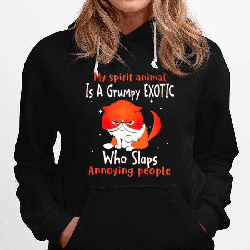 My Spirit Animal Is A Grumpy Exotic Who Slaps Annoying People Hoodie