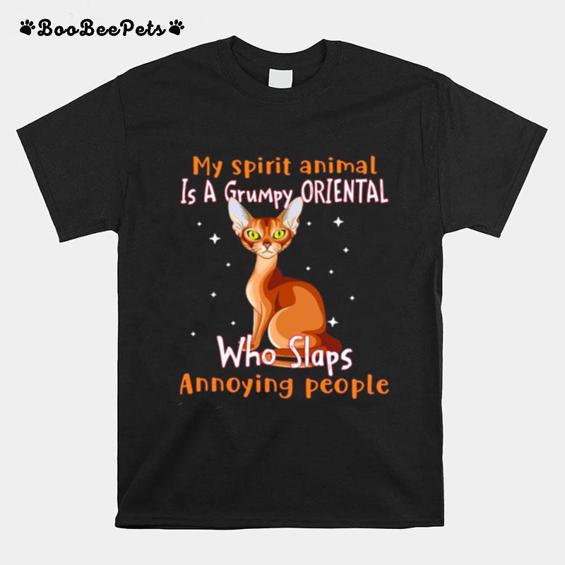 My Spirit Animal Is A Oriental Who Slaps Annoying People T-Shirt