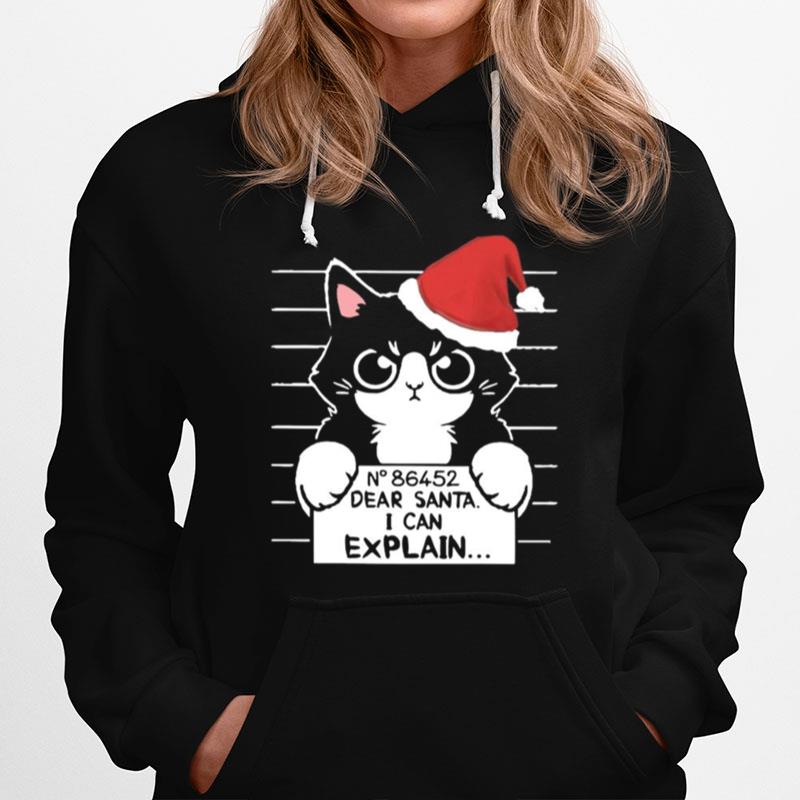 N 86452 Dear Santa I Can Explain Hoodie