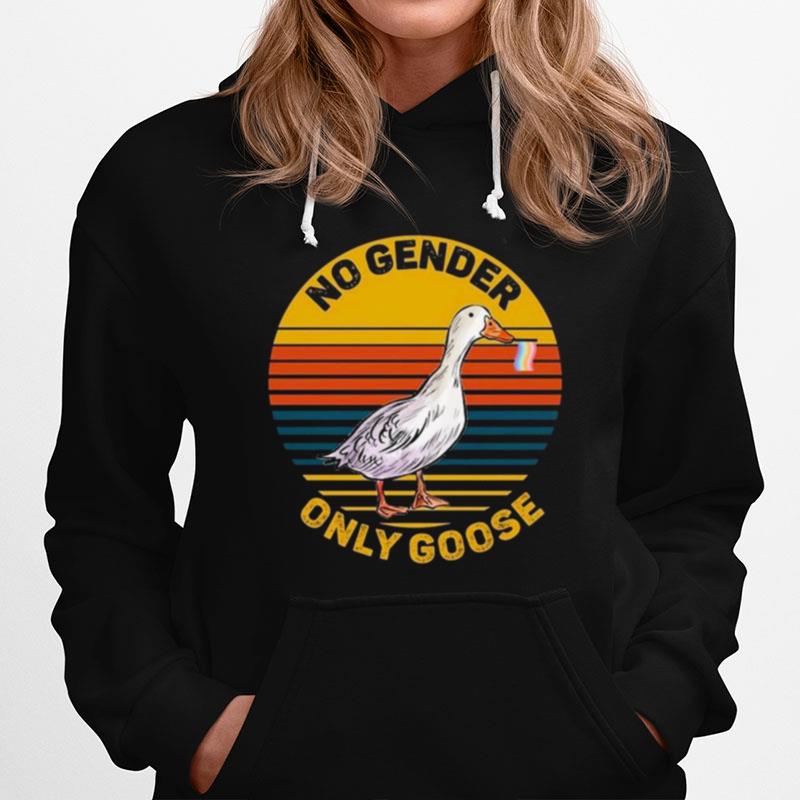 No Gender Only Goose Gender Neutral Pride Flag Vintage Hoodie