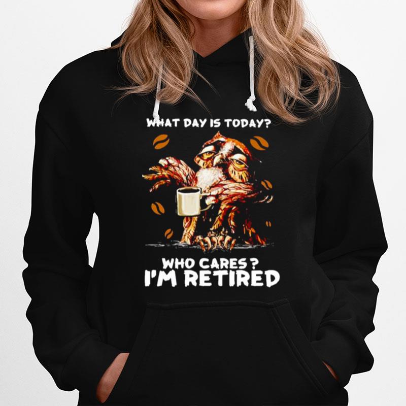 Owi What Day Is Today Who Cares Im Retired Hoodie