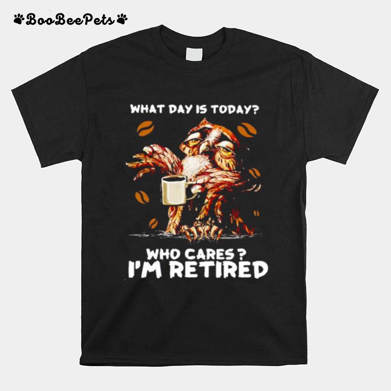 Owi What Day Is Today Who Cares Im Retired T-Shirt