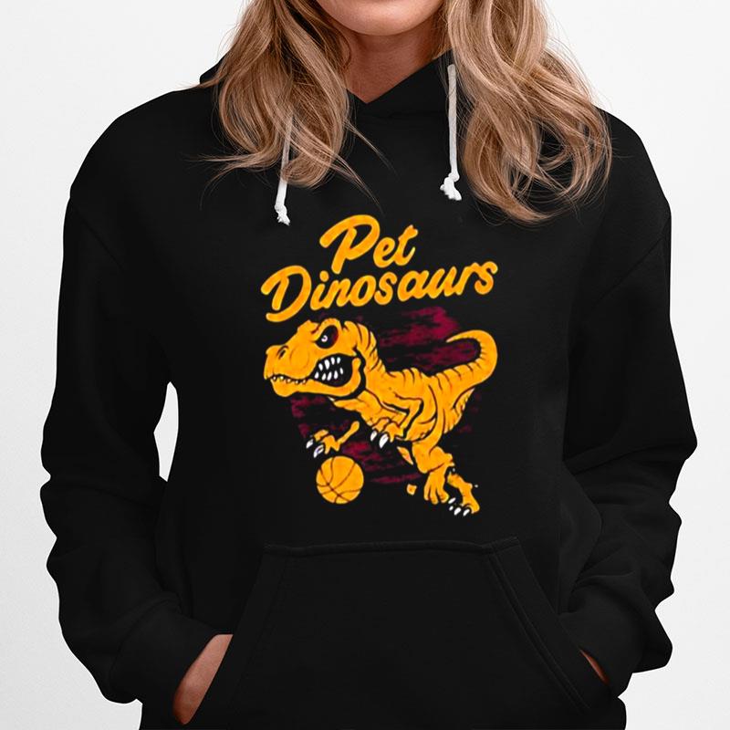 Pet Dinosaurs 2023 Basketball Hoodie