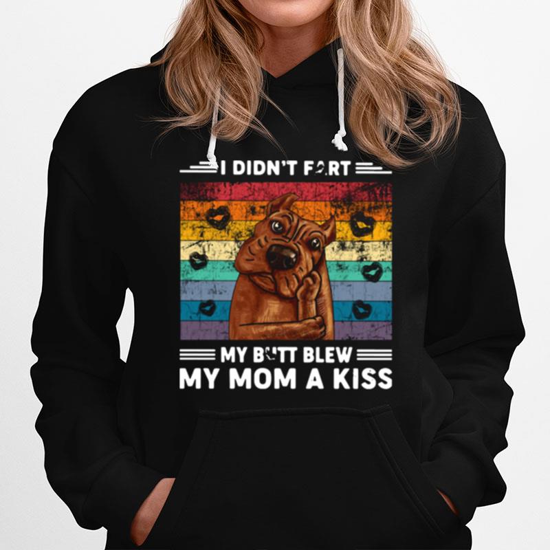 Pitbull I Didnt Fart My Butt Blew My Mom A Kiss Vintage Hoodie