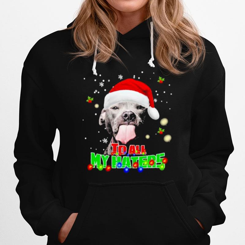 Pitbull To All My Haters Merry Christmas Hoodie