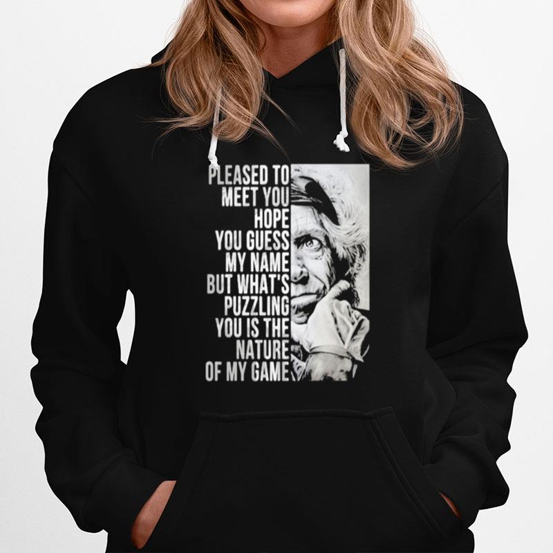 Please To Meet You Hope You Guess My Name But Whats You Is The Nature Of My Game Hoodie