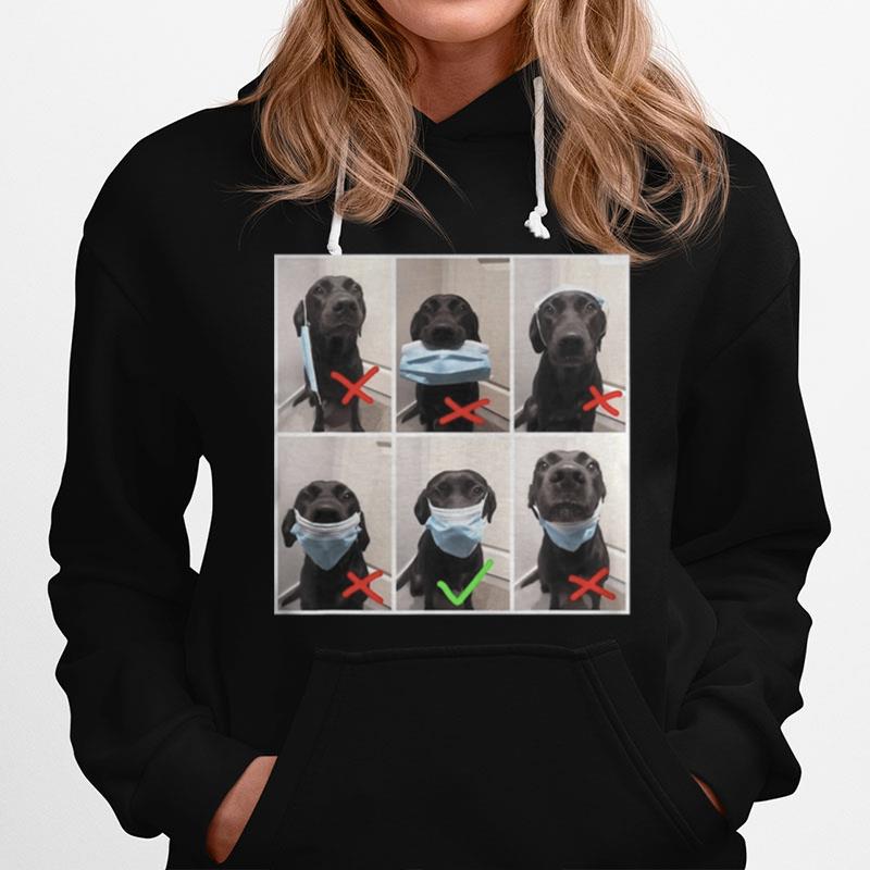 Real Dog Wear Face Mask Wrong And Right Social Distance Hoodie