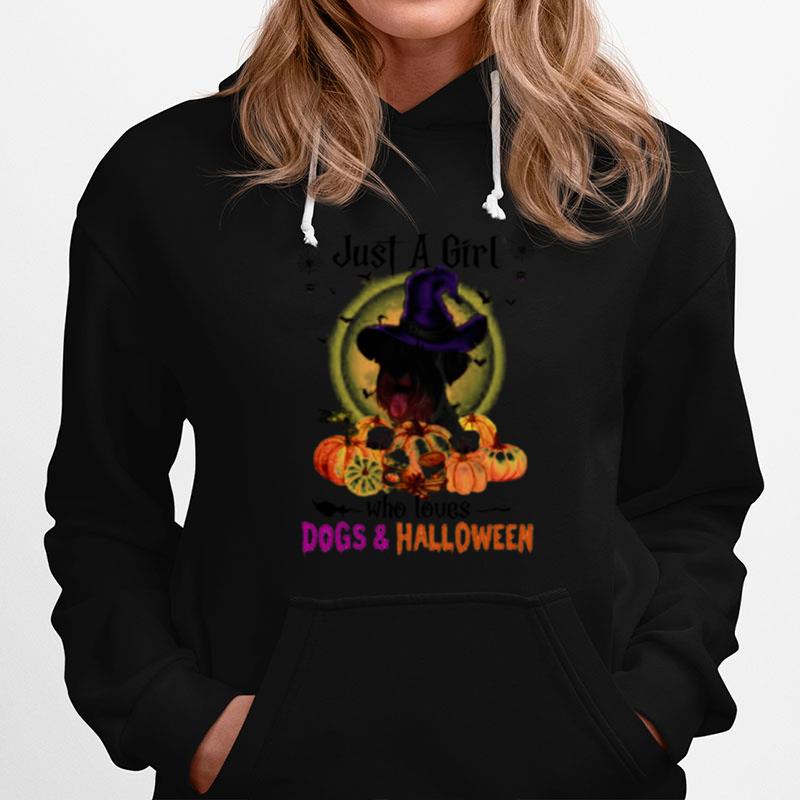 Standard Schnauzer Just A Girl Who Loves Dogs And Halloween Hoodie