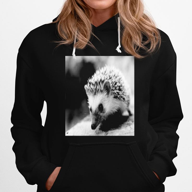 Sweet Hedgehog In Autumn Hoodie