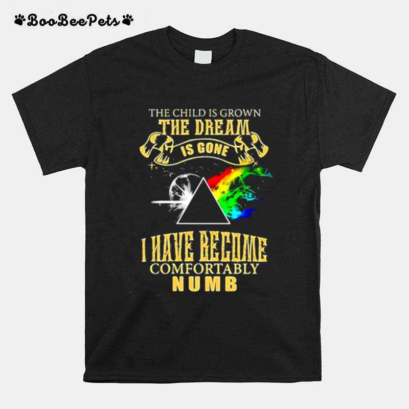 The Child Is Grown The Dream Is Gone I Have Become Comfortably Numb Moon Lgbt Pink Floyd T-Shirt