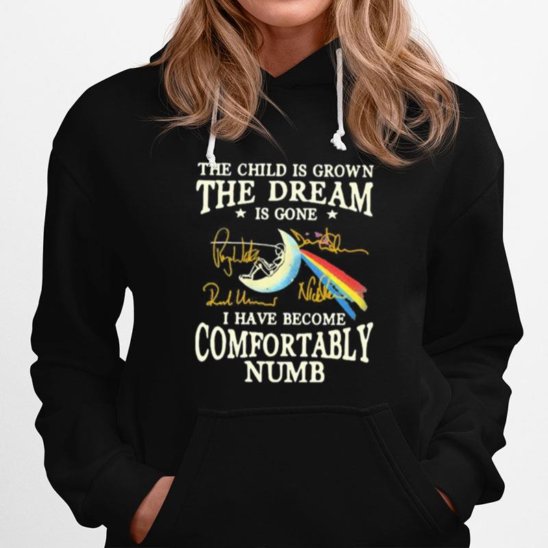 The Child Is Grown The Dream Is Gone I Have Become Comfortably Numb Pink Floyd Signatures Hoodie