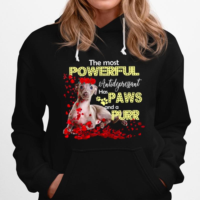 The Most Powerful Antifepressant Has Paws And A Purr Hoodie