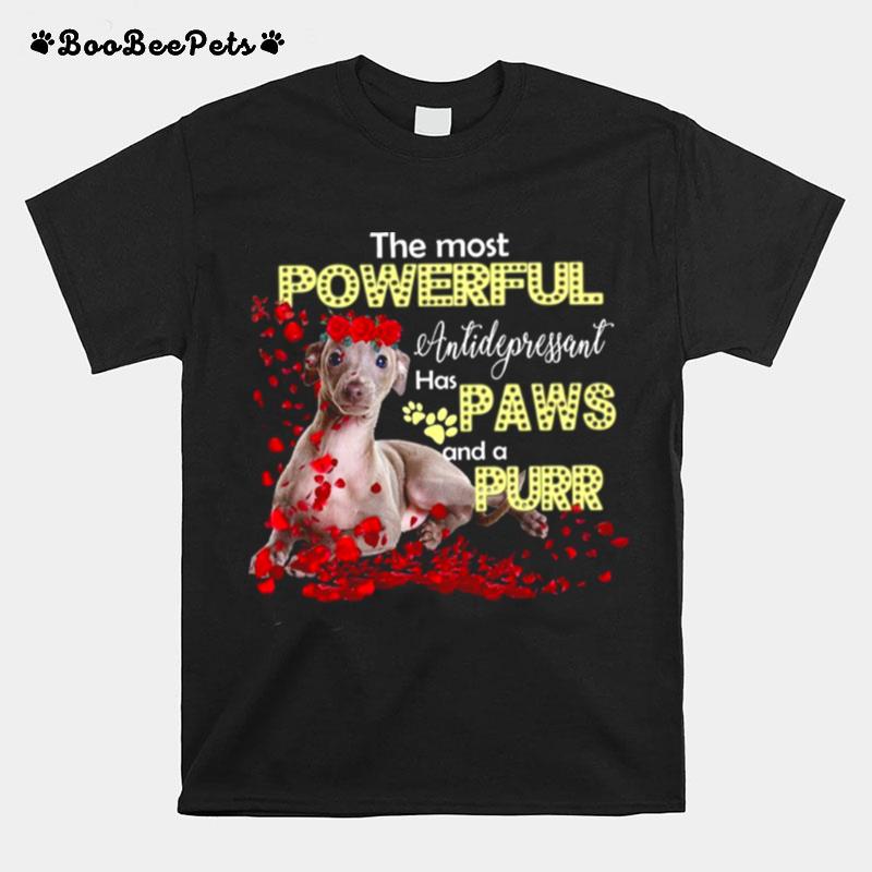 The Most Powerful Antifepressant Has Paws And A Purr T-Shirt