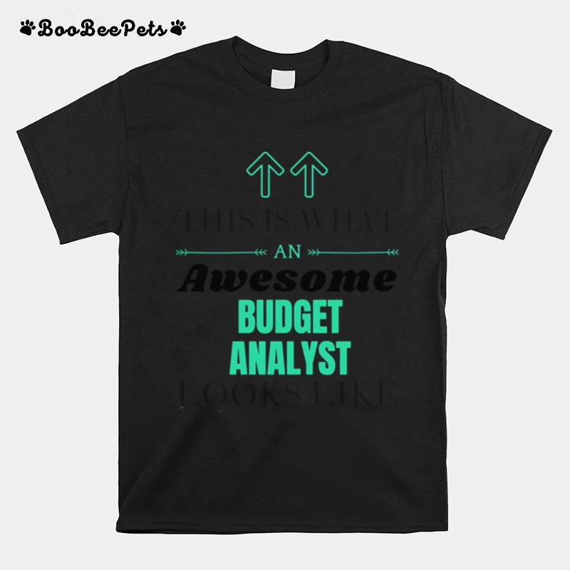 This Is What Awesome Budget Analyst Looks Like T-Shirt