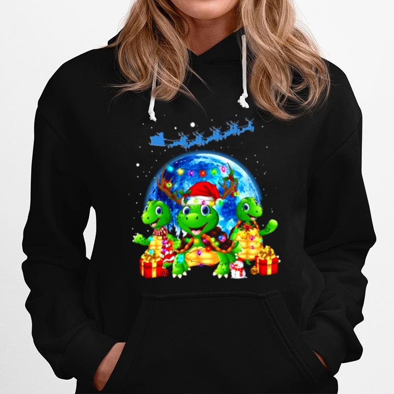 Three Turtle Santa Reindeer Merry Christmas Hoodie