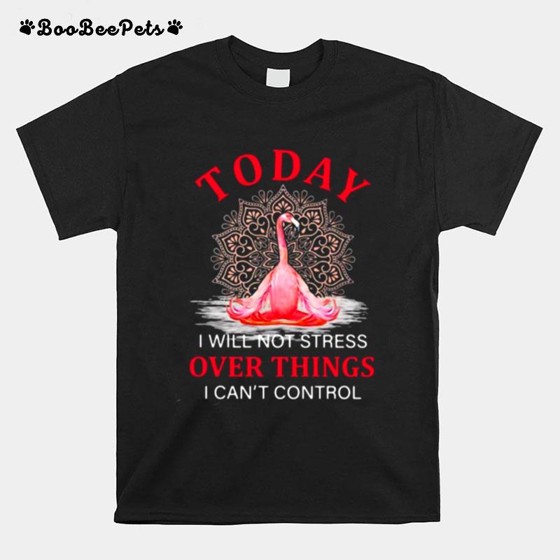 Today I Will Not Stress Over Things I Cant Control Flamingo T-Shirt