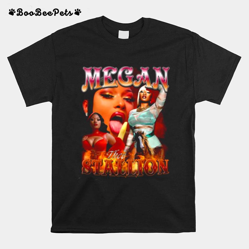 Vintage Bootleg Megan Thee Stallion Singer T-Shirt