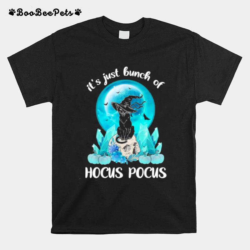 Vintage Halloween Black Cat Its Just A Bunch Of Hocus Pocus Halloween 2022 T-Shirt