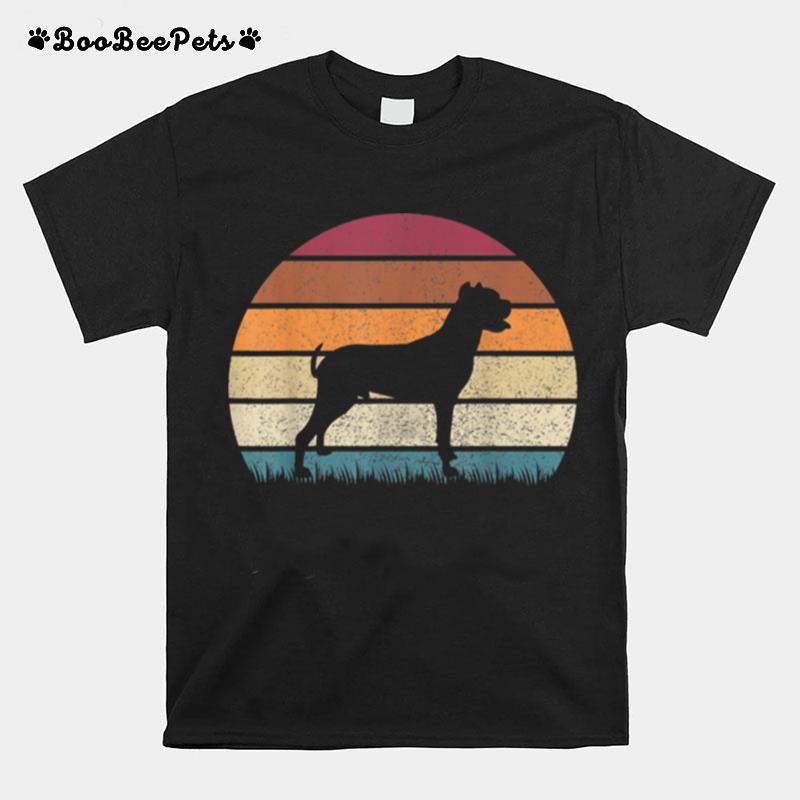 Vintage Sunset Dogo Argentino Dog Distressed T-Shirt