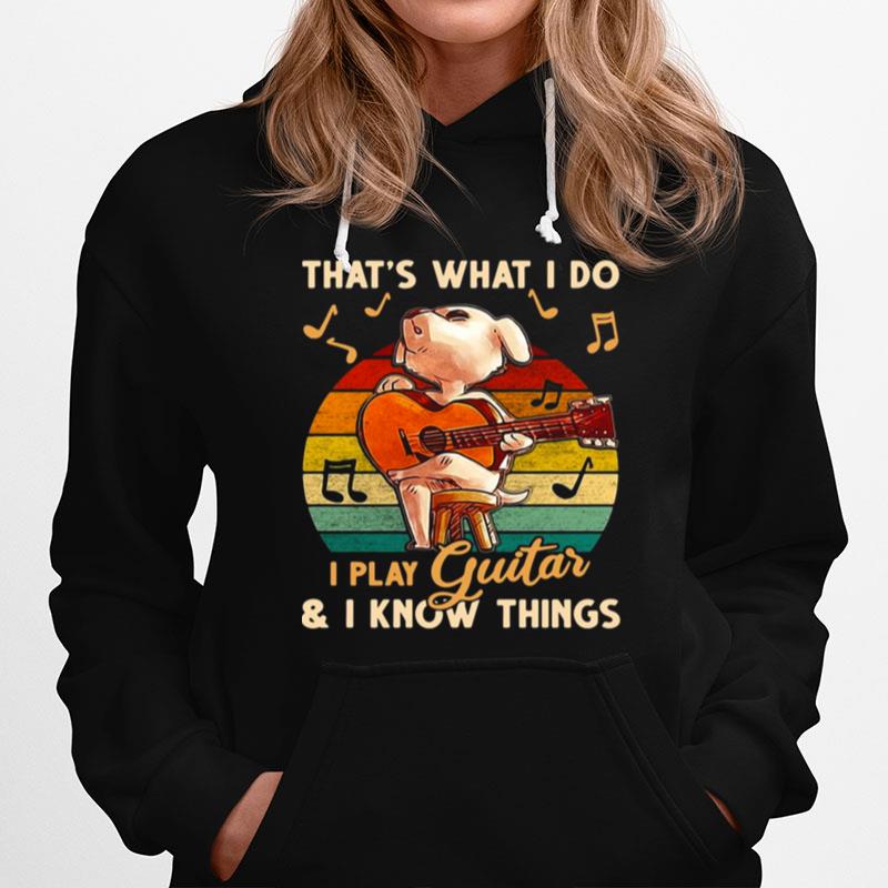 Vintage Thats What I Do I Play Guitar And I Know Things Dog Hoodie