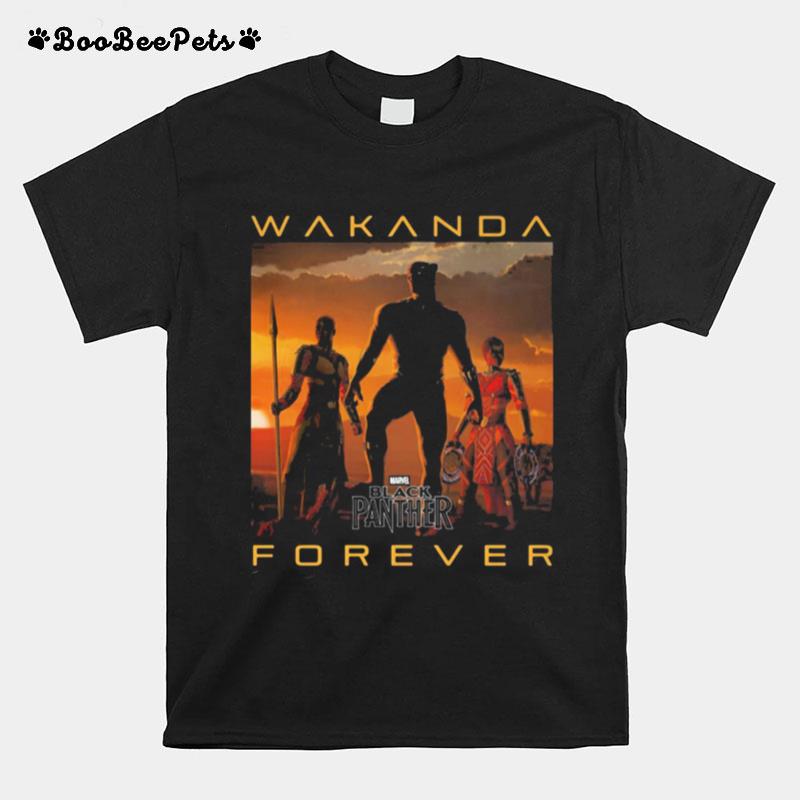 Wakanda Forever Black Panther Chadwick Rip Poster T-Shirt