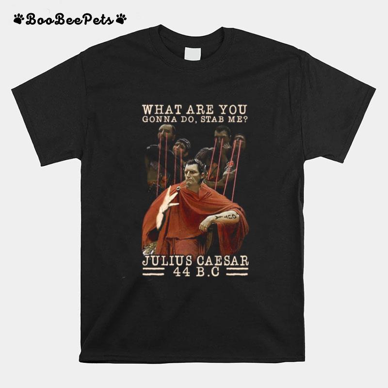 What Are You Gonna Do Stab Me Julius Caesar 44 Bc T-Shirt