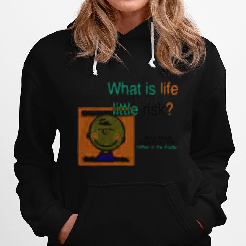 What Is Life Without A Little Risk Hoodie