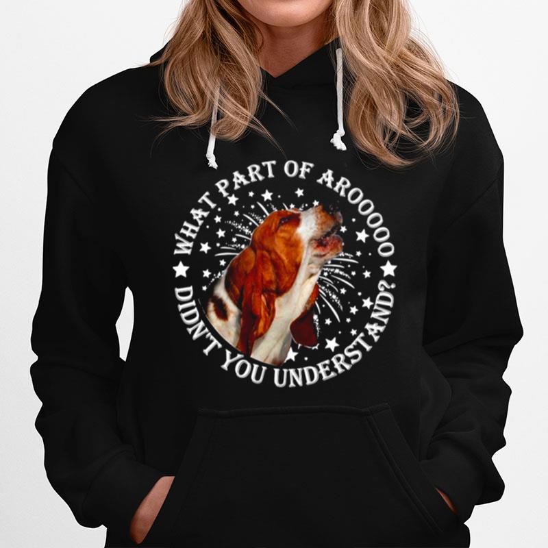 What Part Of Aro Didnt You Understanding Basset Hounds Hoodie