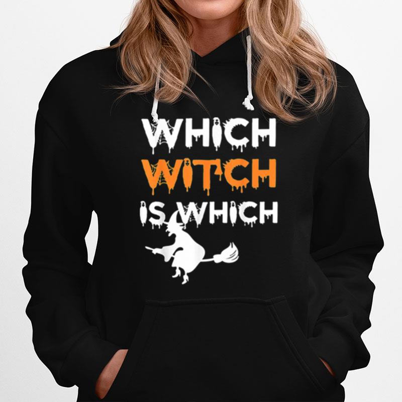 Which Witch Is Which Funny Halloween English Teacher Hoodie