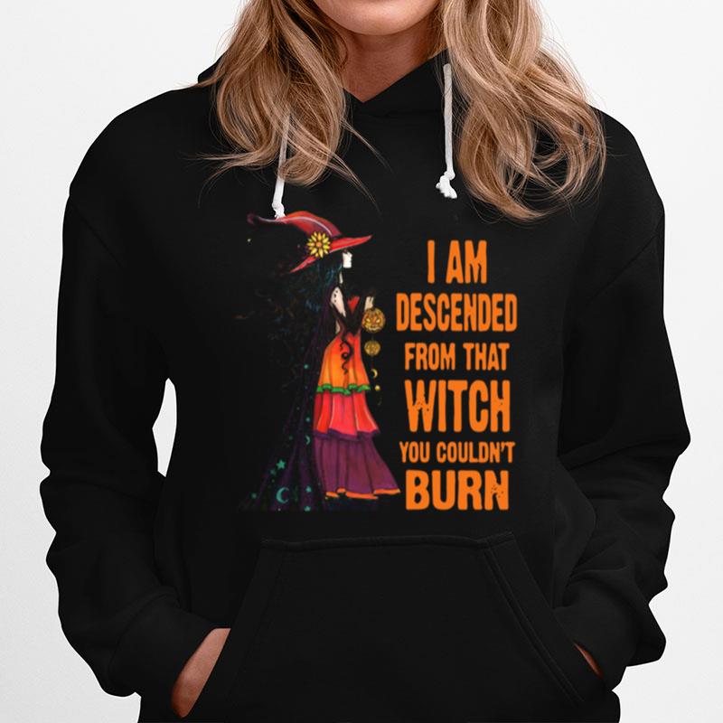 Witch I Am Descended From That Witch You Couldnt Burn Hoodie