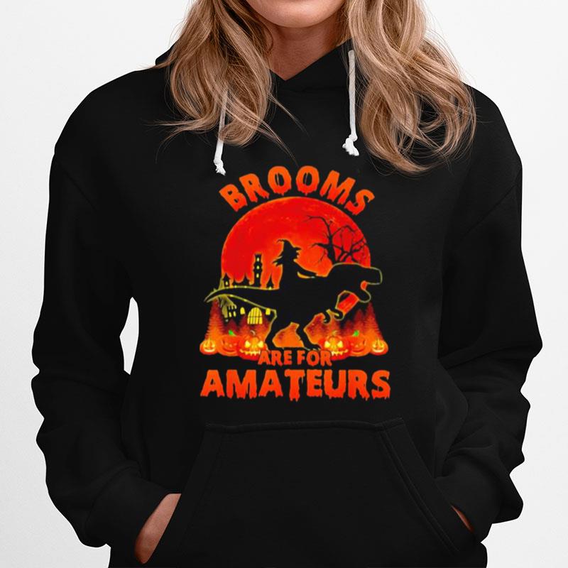 Witch Riding Dinosaurs Brooms Are For Amateurs Halloween Hoodie