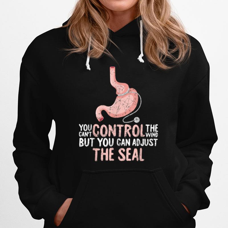 You Cant Control The Wind Bariatric Surgery Vsg Hoodie
