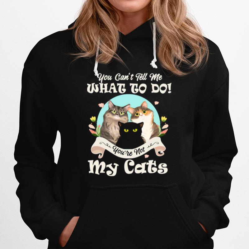 You Cant Tell Me What To Do Youre Not My Cats Funny Hoodie
