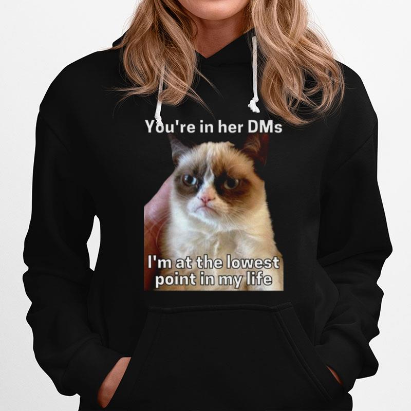 Youre In Her Dms Im At The Lowest Point In My Life Cat Meme Hoodie