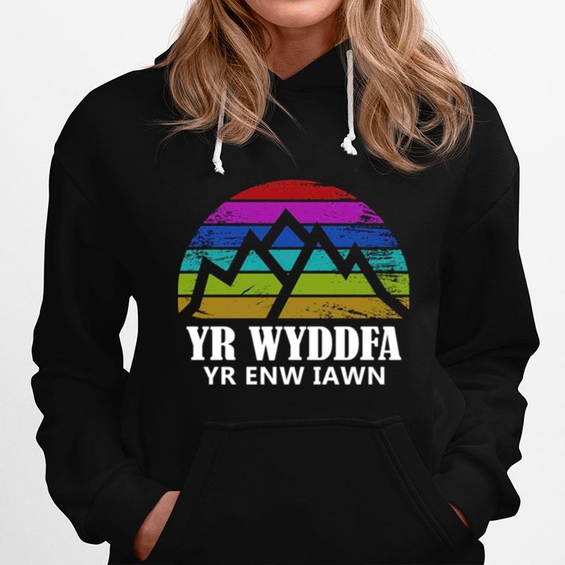 Yr Wyddfa Yr Enw Iawn Vintage Hoodie