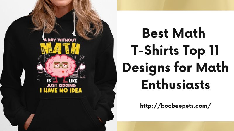 Best Math T-Shirts Top 11 Designs for Math Enthusiasts
